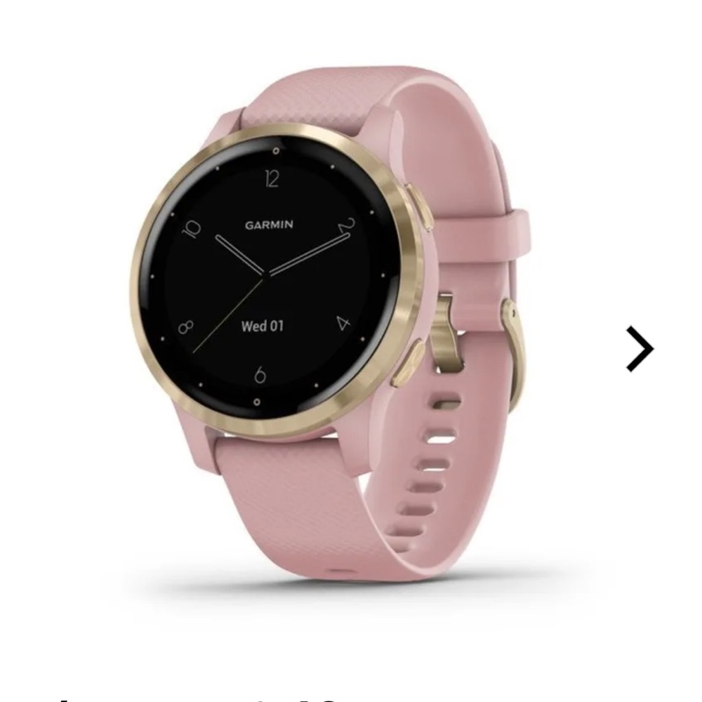 Garmin Vivoactive 4s Light Gold/Dust Rose